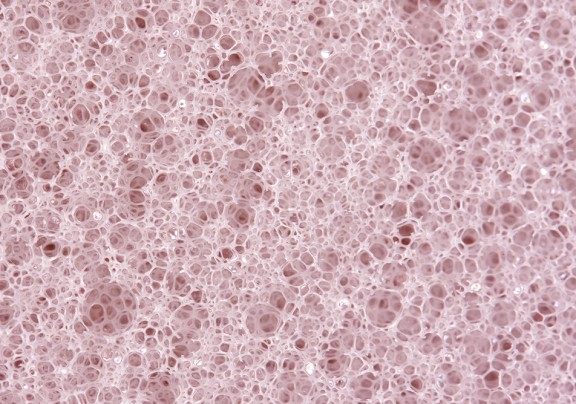 magnifoam